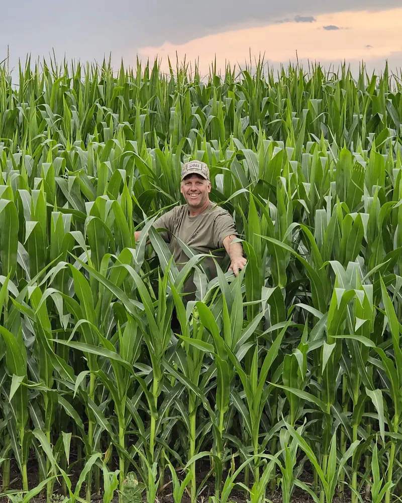 A man standing in a tall corn field on the farm at sunset